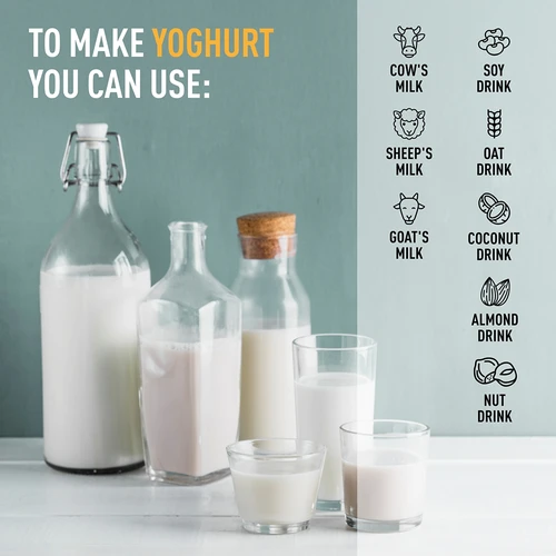 Yoghurt maker with a thermostat, 9 jars, 1.6 L - 15 ['yoghurt maker', ' yoghurt making device', ' vegan yoghurt', ' how to make yoghurt', ' for homemade yoghurt', ' yoghurt maker with thermostat', ' efficient yoghurt maker', ' for a gift', ' healthy cooking', ' best yoghurt maker', ' homemade yoghurt', ' yoghurt making equipment', ' how to make yoghurt easily', ' homemade kefir', ' healthy yoghurt', ' yoghurt in jars', ' recommended for yoghurt', ' gift']